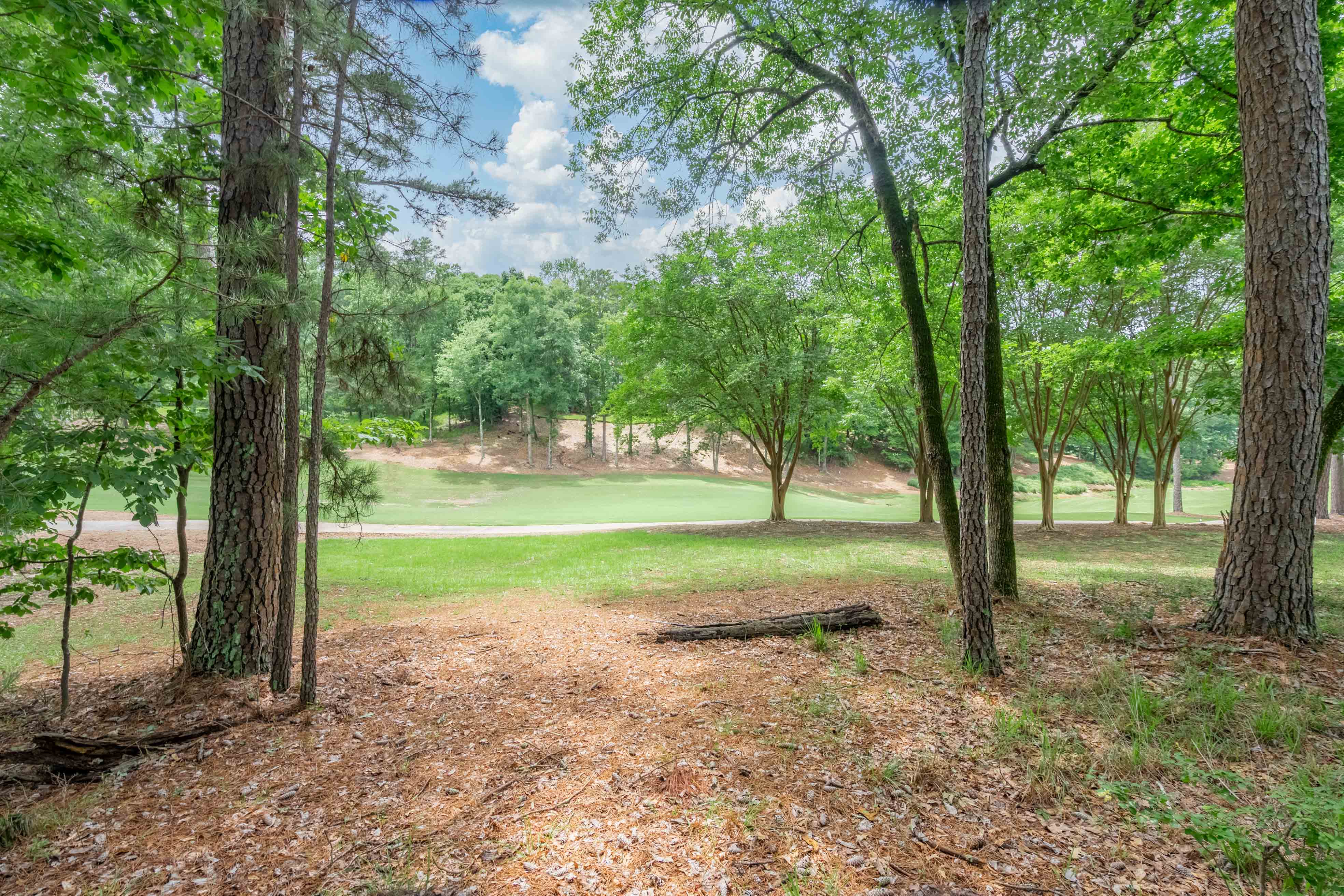 1101 Scull Shoals Drive image 18